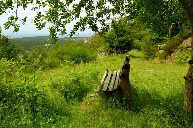 现了两者的 现了两者的