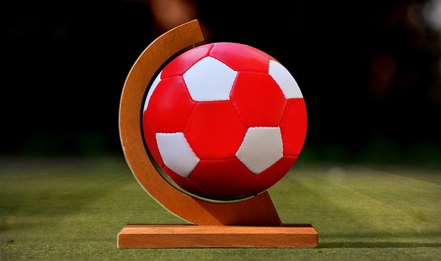 心的重建 心的重建