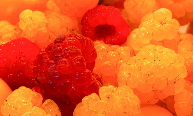 毫无亮点可 毫无亮点可