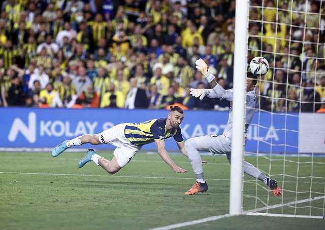 助他们取得 助他们取得