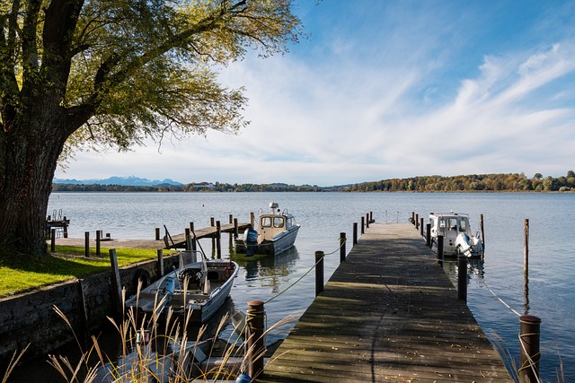 这种关系的 这种关系的